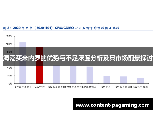 海港买米内罗的优势与不足深度分析及其市场前景探讨