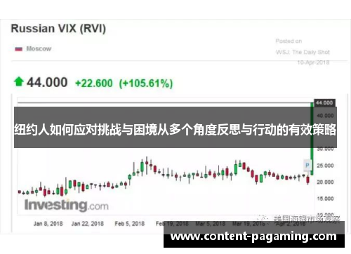 纽约人如何应对挑战与困境从多个角度反思与行动的有效策略