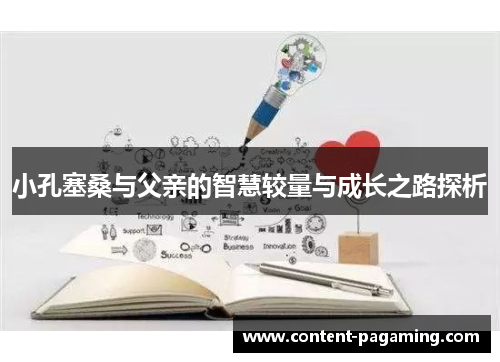 小孔塞桑与父亲的智慧较量与成长之路探析