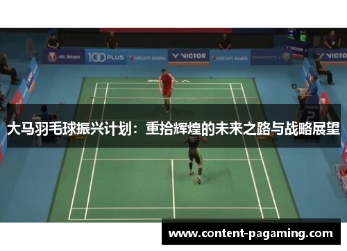 大马羽毛球振兴计划：重拾辉煌的未来之路与战略展望