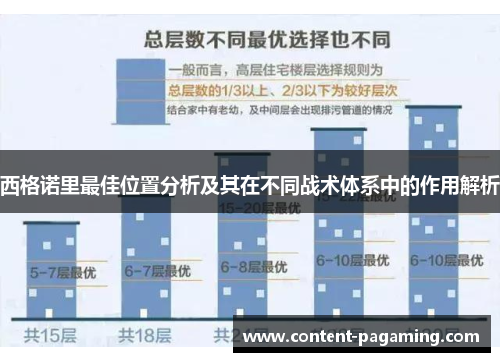 西格诺里最佳位置分析及其在不同战术体系中的作用解析