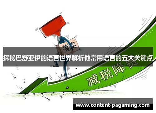 探秘巴舒亚伊的语言世界解析他常用语言的五大关键点 探秘巴舒亚伊的语言世界解析他常用语言的五大关键点