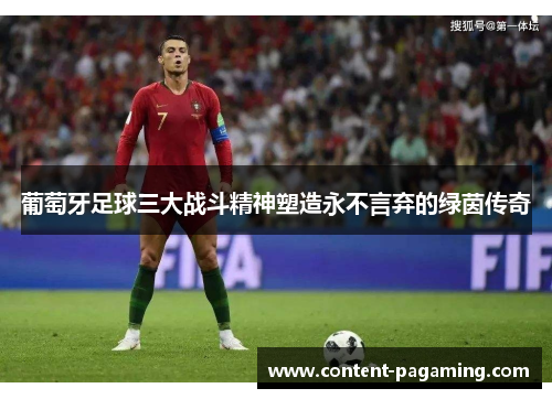 葡萄牙足球三大战斗精神塑造永不言弃的绿茵传奇