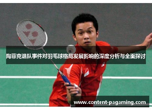 陶菲克退队事件对羽毛球格局发展影响的深度分析与全面探讨 陶菲克退队事件对羽毛球格局发展影响的深度分析与全面探讨
