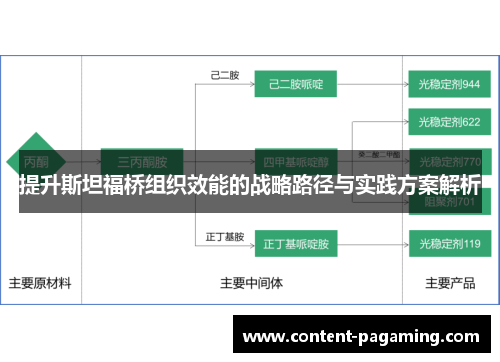 提升斯坦福桥组织效能的战略路径与实践方案解析 提升斯坦福桥组织效能的战略路径与实践方案解析