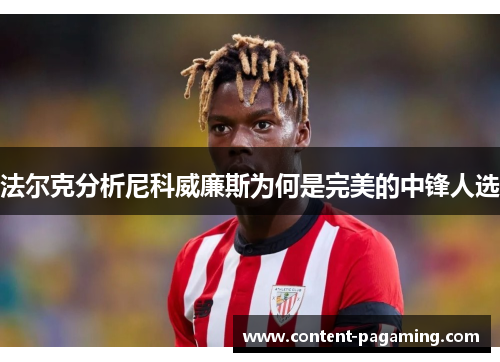 法尔克分析尼科威廉斯为何是完美的中锋人选