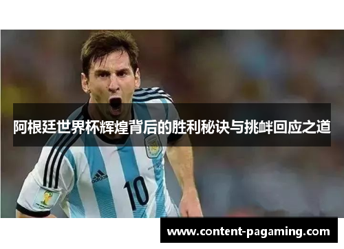 阿根廷世界杯辉煌背后的胜利秘诀与挑衅回应之道