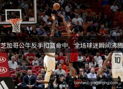芝加哥公牛反手扣篮命中，全场球迷瞬间沸腾